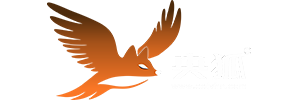 环球约飞